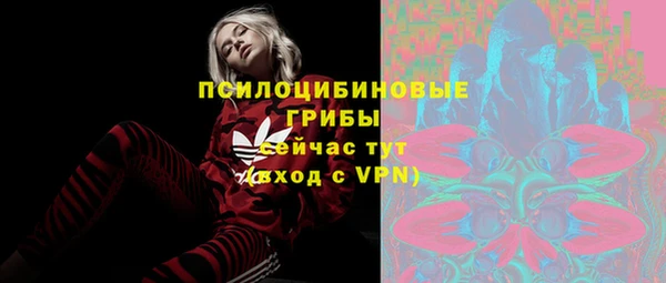таблы Алексеевка