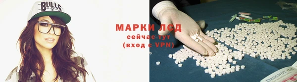 шишки Алзамай