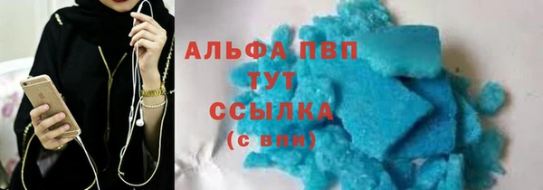 крисы Алексин