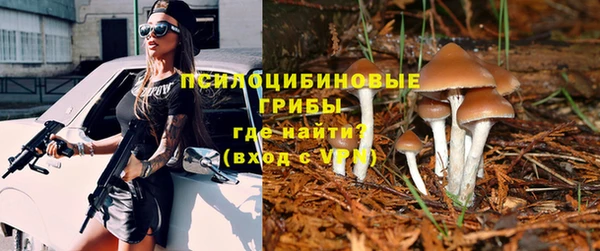 шишки Алзамай