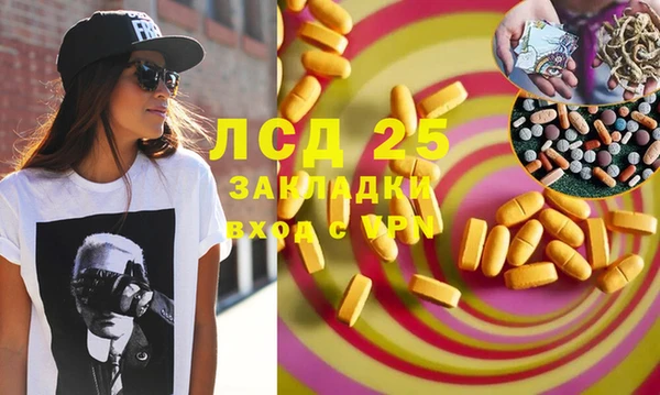 шишки Алзамай