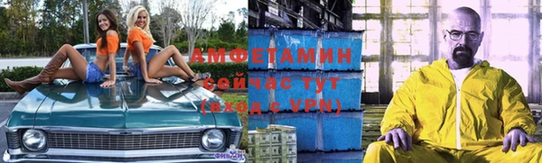 крисы Алексин