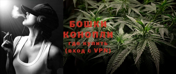 шишки Алзамай
